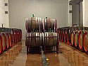 Винодельня/Виноградник в Терамо (Абруццо / Италия)