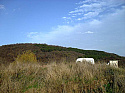 Земельный участок в Варне (Северное побережье / Болгария)