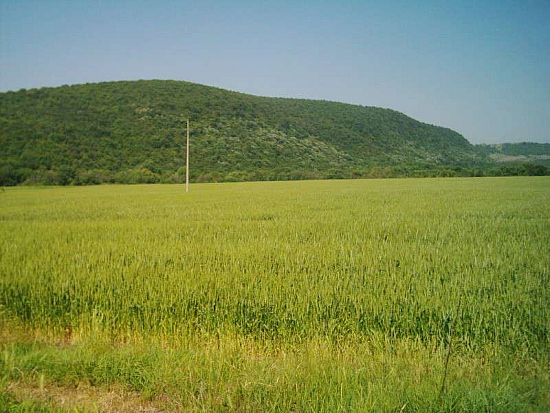 Земельный участок в Медово (Южное побережье / Болгария)