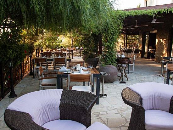 Ресторан/Кафе в Пафосе (Пафос / Кипр)