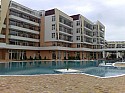Гранд Камелия (GRAND KAMELIA )