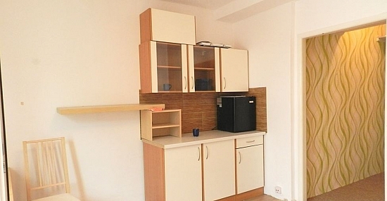Квартира в Праге (Среднечешский край / Чехия)