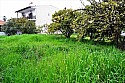 Отдельный дом на Кассандре (Халкидики / Греция)