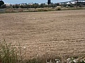 Земельный участок в Ларнаке (Ларнака / Кипр)
