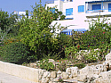 Квартира в Пафосе (Пафос / Кипр)